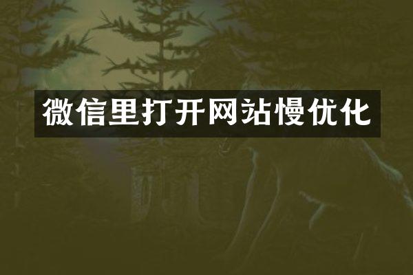 微信里打开网站慢优化