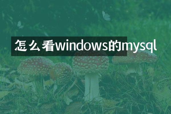 怎么看windows的mysql