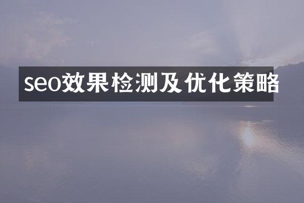 seo效果检测及优化策略