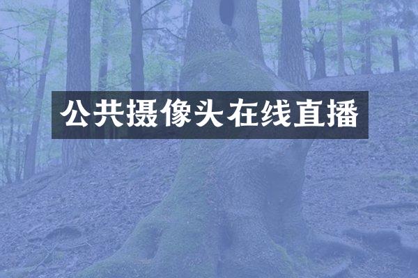 公共摄像头在线直播