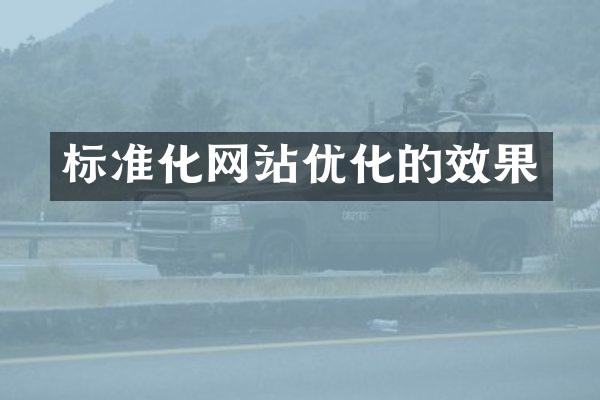 标准化网站优化的效果