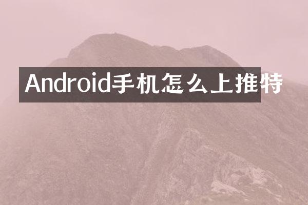 Android手机怎么上推特