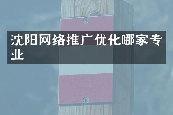 沈阳网络推广优化哪家专业