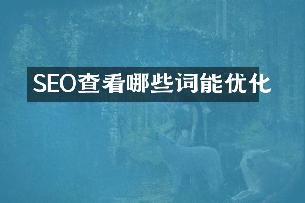 SEO查看哪些词能优化