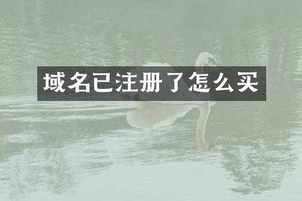 域名已注册了怎么买