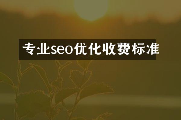 专业seo优化收费标准