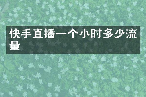 快手直播一个小时多少流量