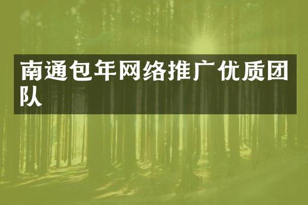 南通包年网络推广优质团队