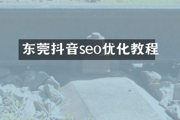 东莞抖音seo优化教程
