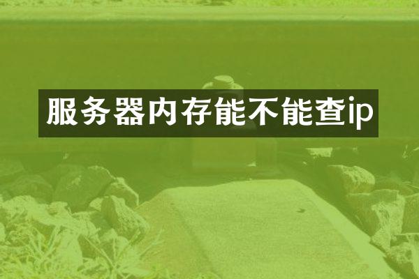 服务器内存能不能查ip