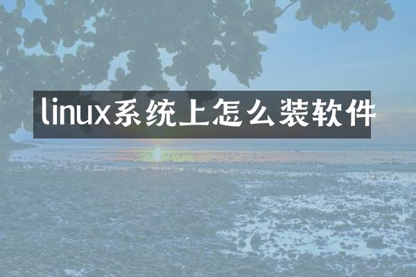 linux系统上怎么装软件
