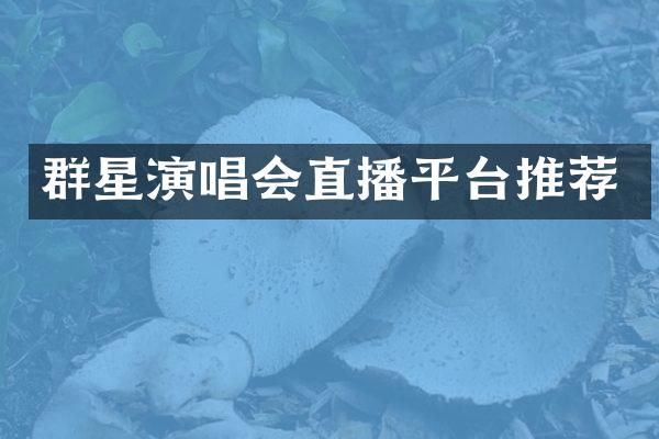 群星演唱会直播平台推荐
