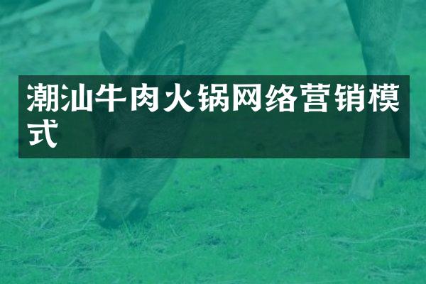 潮汕牛肉火锅网络营销模式