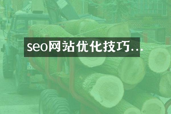 seo网站优化技巧...