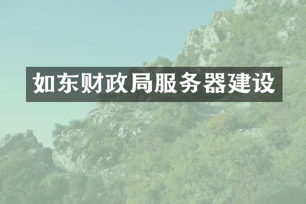 如东财政局服务器建设