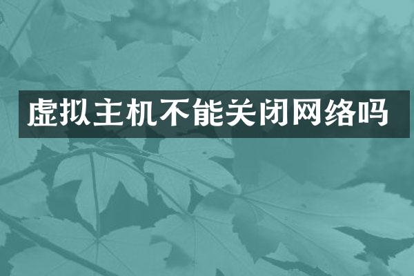 虚拟主机不能关闭网络吗