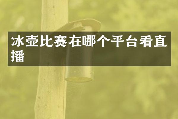 冰壶比赛在哪个平台看直播