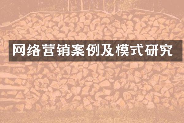网络营销案例及模式研究
