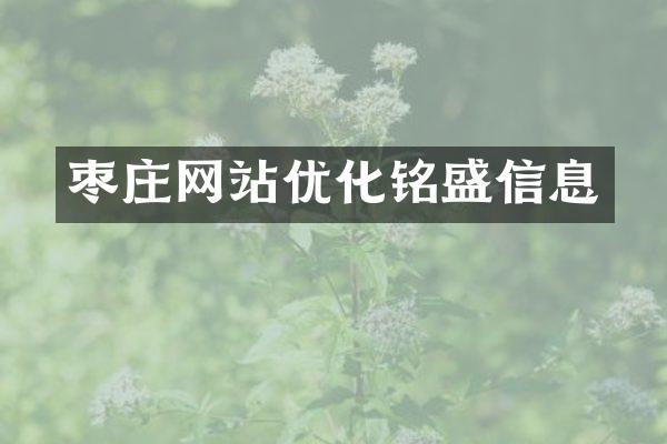枣庄网站优化铭盛信息