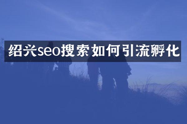 绍兴seo搜索如何引流孵化
