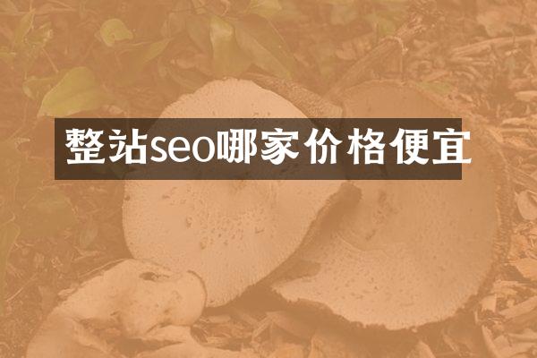整站seo哪家价格便宜