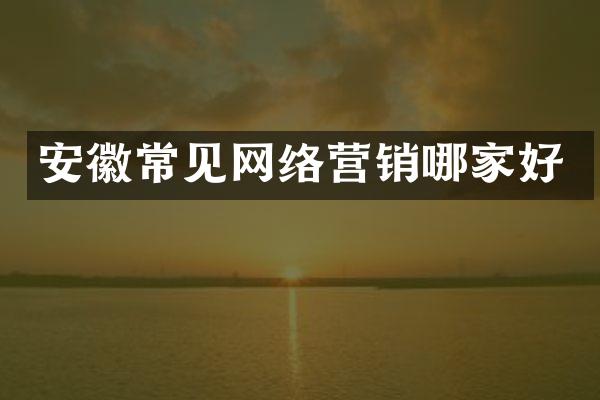 安徽常见网络营销哪家好