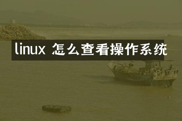linux 怎么查看操作系统