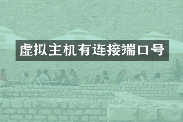 虚拟主机有连接端口号