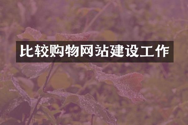 比较购物网站建设工作