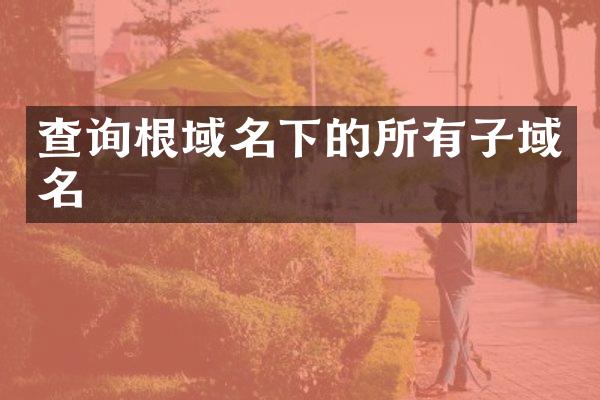 查询根域名下的所有子域名