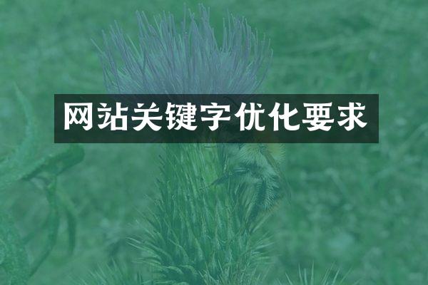 网站关键字优化要求