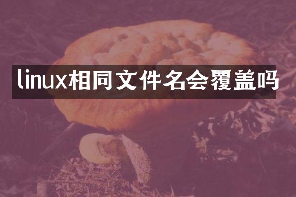 linux相同文件名会覆盖吗