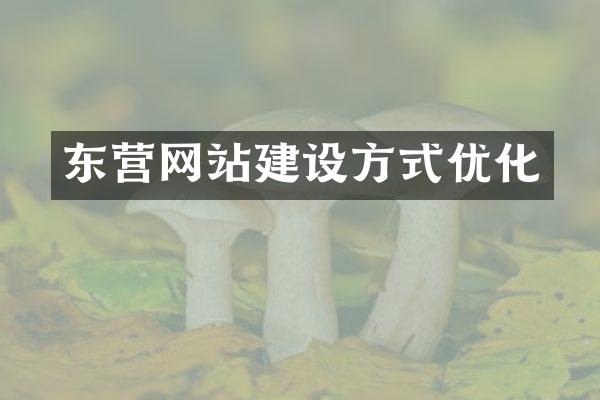 东营网站建设方式优化