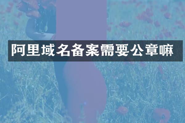 阿里域名备案需要公章嘛