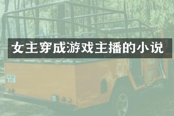 女主穿成游戏主播的小说