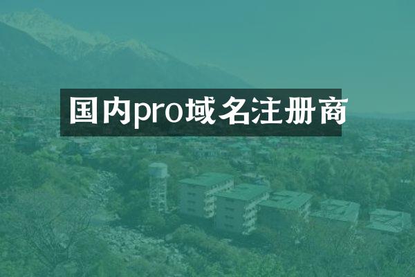 国内pro域名注册商