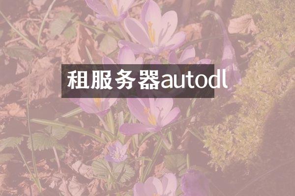 租服务器autodl