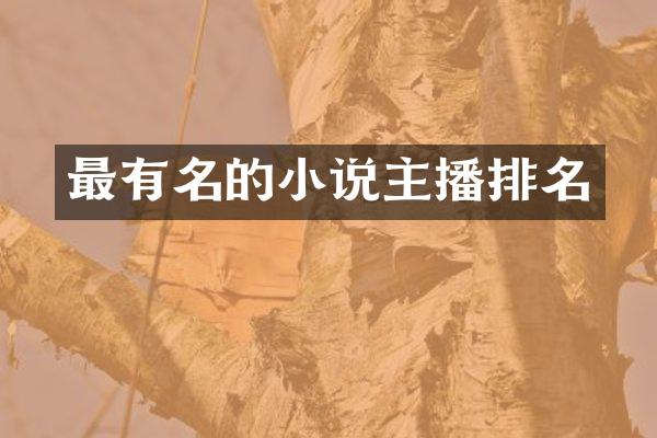 最有名的小说主播排名