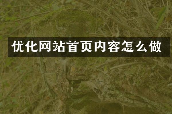 优化网站首页内容怎么做