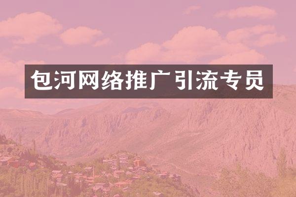 包河网络推广引流专员