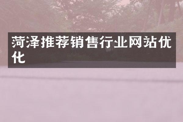 菏泽推荐销售行业网站优化