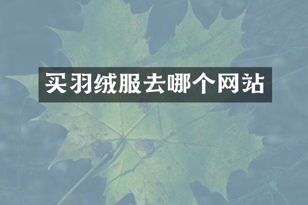 买羽绒服去哪个网站