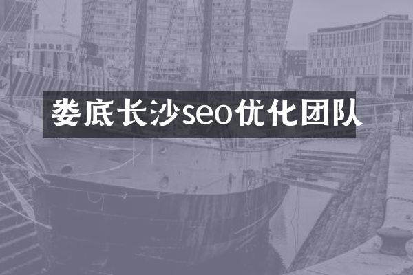 娄底长沙seo优化团队