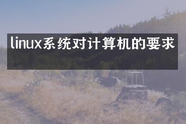 linux系统对计算机的要求吗