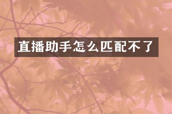 直播助手怎么匹配不了