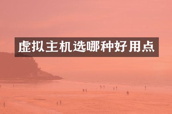 虚拟主机选哪种好用点