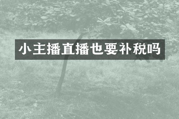 小主播直播也要补税吗