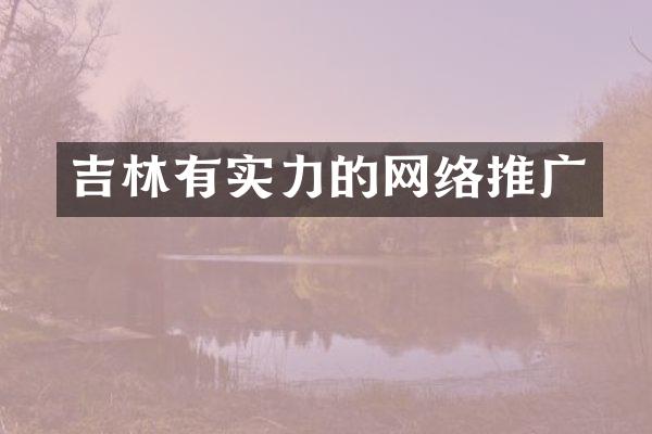 吉林有实力的网络推广