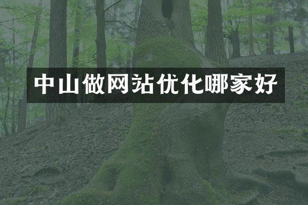 中山做网站优化哪家好