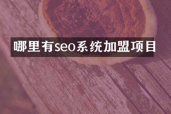 哪里有seo系统加盟项目